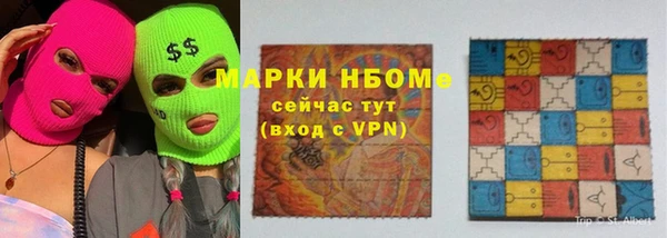 спиды Болотное